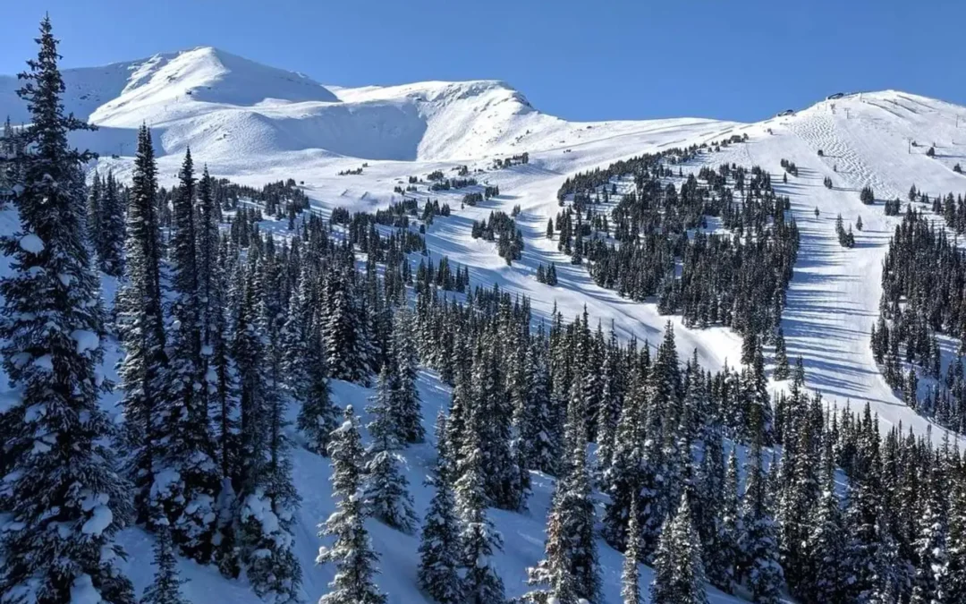 Ski Marmot Basin