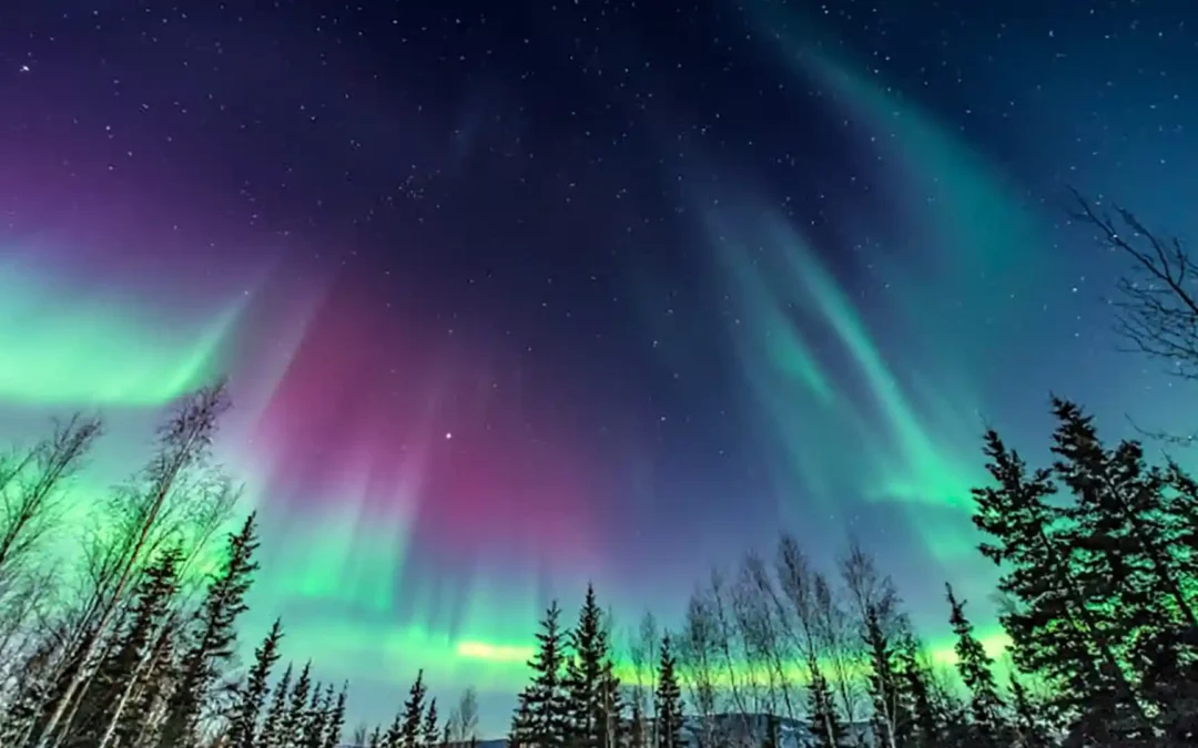 Visit Anchorage
