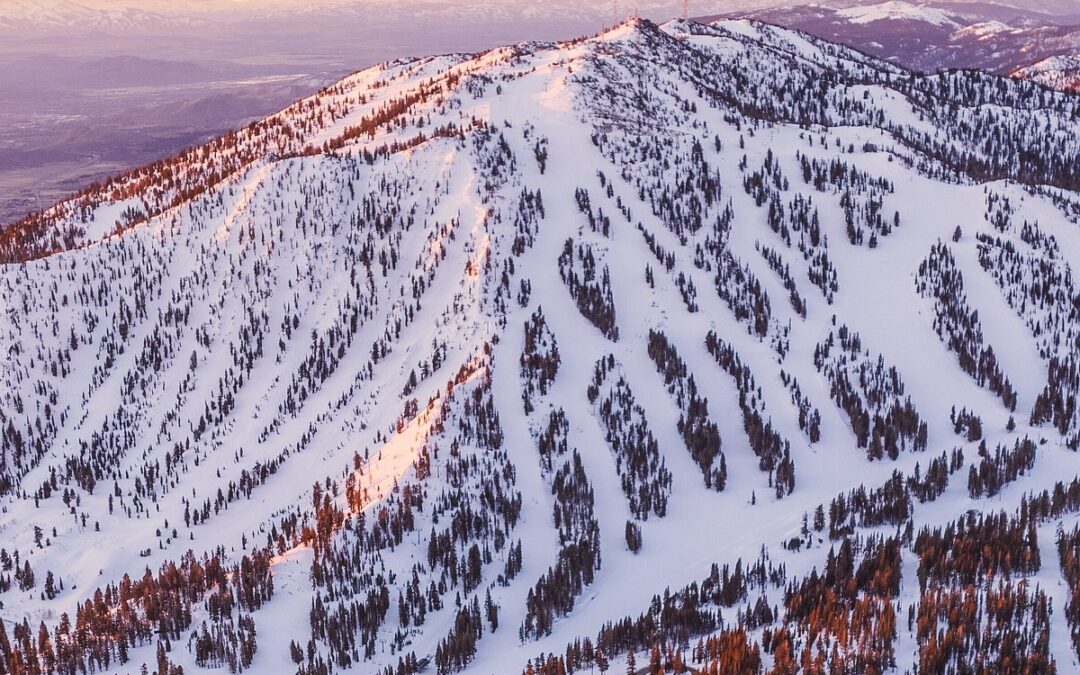 Mt Rose