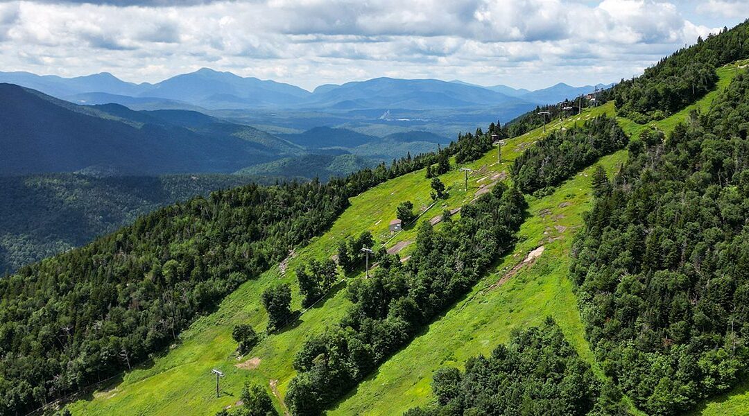 Whiteface