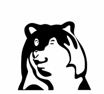 SKI BIG BEAR